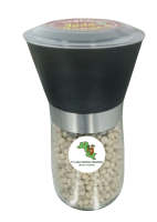 Untitled design (14)