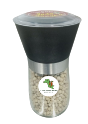 Untitled design (14)